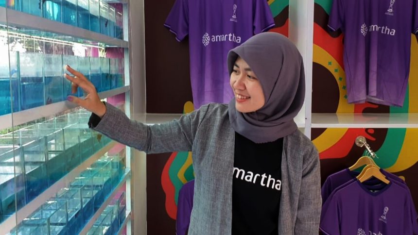 turunminum.id Piala Dunia U17 dan Ikan Cupang, Kesamaan Karakteristik Bintang Lapangan