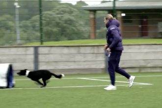 Tiga Bintang Inggris Uji Ketangkasan Anjing dalam Acara Crufts Menjelang Euro 2024 (foto: twitter)