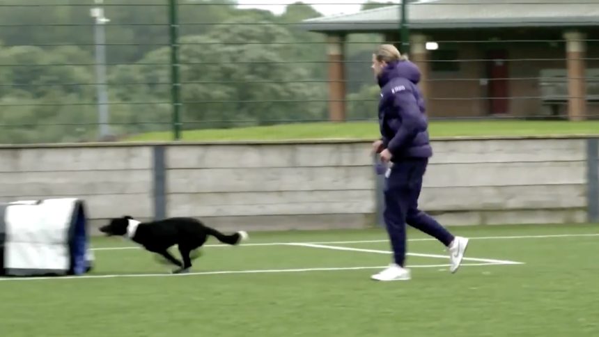 Tiga Bintang Inggris Uji Ketangkasan Anjing dalam Acara Crufts Menjelang Euro 2024 (foto: twitter)
