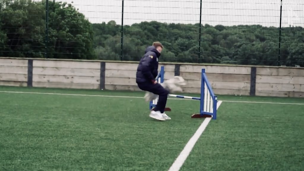 turunminum.id Inggris 'Latihan' Unik 3 Pemain Timnas Inggris Jelang Euro 2024 Tiga Bintang Inggris Uji Ketangkasan Anjing dalam Acara Crufts Menjelang Euro 2024 (foto: twitter)