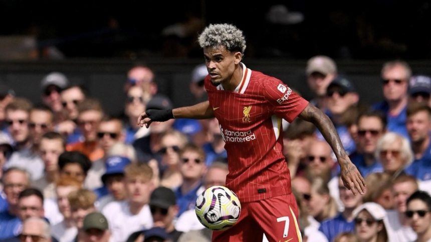 Pemain Liverpool, Luis Diaz (foto: x)