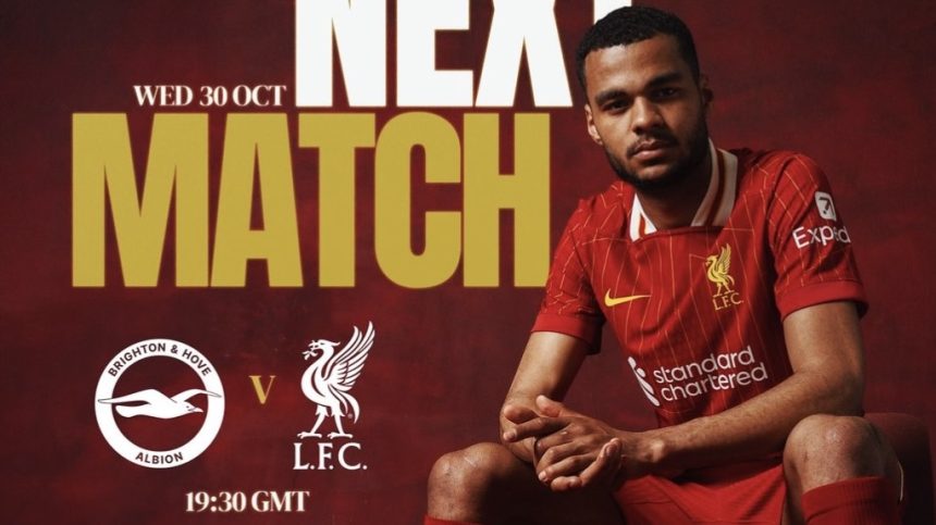 Kesiapan Brighton Hadapi Liverpool di Carabao Cup (foto: x)